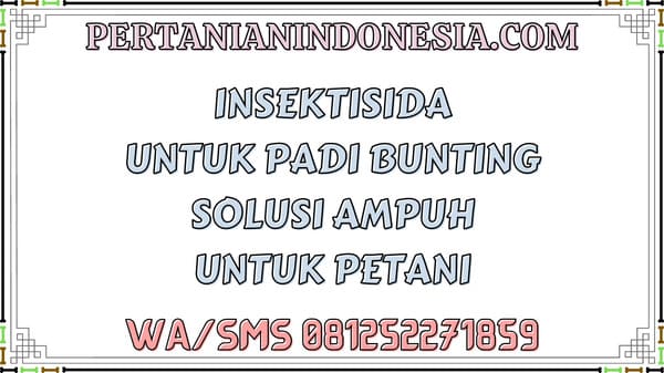Insektisida Untuk Padi Bunting Solusi Ampuh Untuk Petani